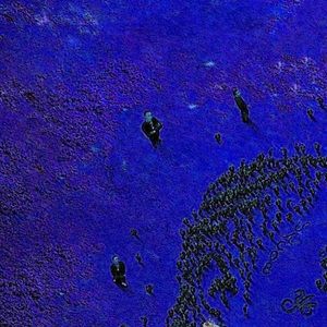 Meet your Posher, Evan